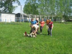 стадион