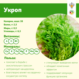 Укроп