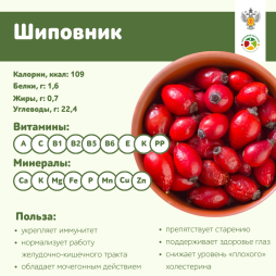 Шиповник