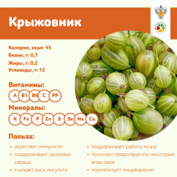 Крыжовник